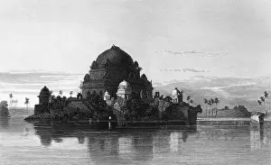 Shere: INDIA BIJAIPUR