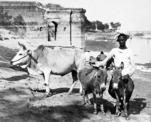 Cawnpore: India - Cawnpore early 1900s