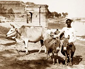 Cawnpore: India - Cawnpore early 1900s