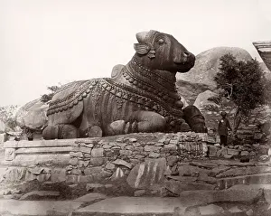 Mysore: India - Chamundi Hill stone bull, Mysore