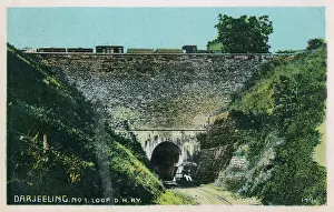Darjeeling: India - Darjeeling Hill Railway Train on No.1 Loop