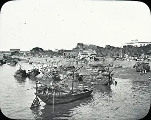 Dinghies: India - Dinghies