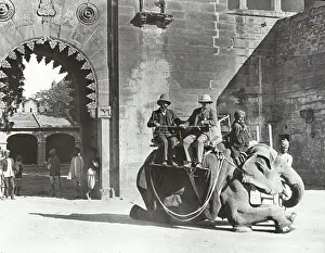 Gwalior: India - Elephant travelling - the start, Gwalior
