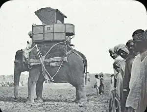Howdah: India - Hunting Elephant with Sporting Howdah