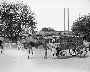 Bevlkerung: India - Mail Carriage around 1912