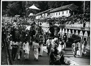 Kandy: India - Nepal - Pakistan
