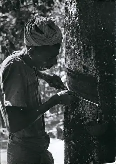 Kerala: India - Nepal - Pakistan