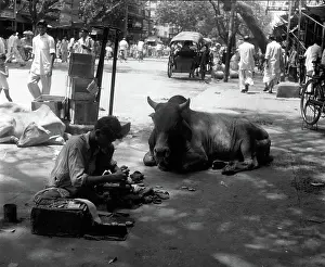Wander: India - Nepal - Pakistan