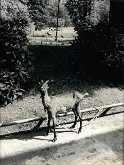 Regard: India - Nepal - Pakistan