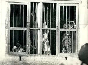 Cages: India - Nepal - Pakistan