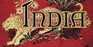 Guilded: India Tiger (Guilded)