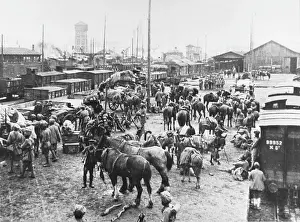 Entraining: Indian Cavalry Regiment 1914