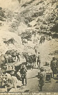 Gully: Indian (Commonwealth) troops at Gallipoli