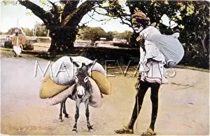 Dhobi: INDIAN DHOBI & DONKEY