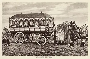 Spoked: Indian Elephant Carriage - India