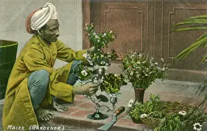 Trowel: Indian Gardener