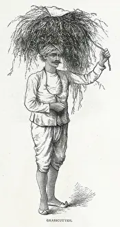 Punjab: INDIAN GRASS CUTTER