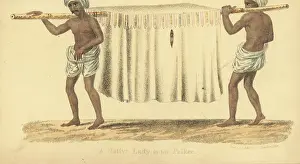 Curtained: Indian lady in her curtained palkee (palanquin)