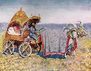 Bikanir: Indian Marriage Cart