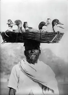 Poulterer: Indian poulterer with a basket full of ducks on his head