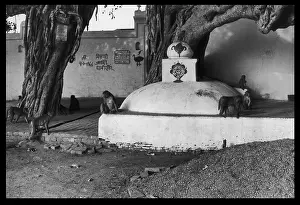 Bill Coward: INDIAN ROADSIDE SHRINE