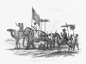 Cortege: Indian ruler and his cortege