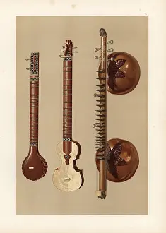 Musicologist: Indian sitars and a vina with large soundboxes
