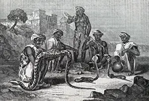 Reptiles: Indian snake charmers