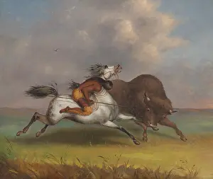Spearing: INDIAN SPEARING A BUFFALO, ca. 1850-1874