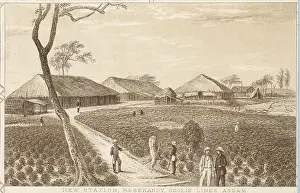 Assam: Indian tea industry