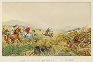 Tigress: INDIAN TIGER HUNT 1807