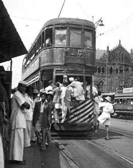 Gills: INDIAN TRAM