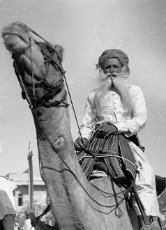 Bikaner: Indians on a camel