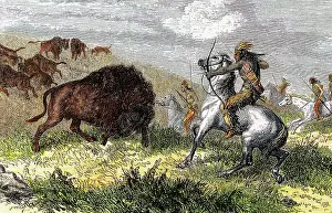 Bison: Indians hunting bison