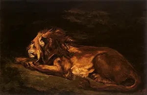 Indifferent: Indifferent Lion, by Delacroix