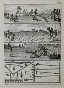 Hoeing: Indigo industry, Musee d'histoire de Nantes, Nantes, France