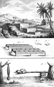 Indigo: Indigo Processing - 18th century