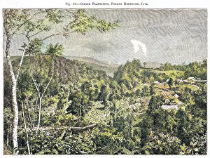 Regencies: INDONESIA JAVA
