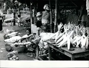 Maize: Indonesia - Malaysia - Singapore