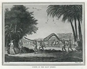 Palanquin: Indonesian Palanquin