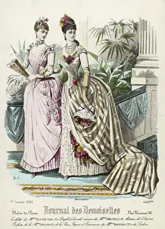 Corsage: Indoor Dresses 1886