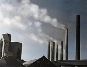 Indicators: INDUSTRY INDICATORS