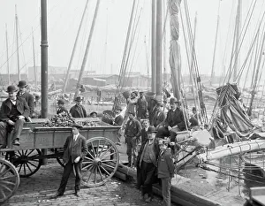 Luggers: Industry - Oysters - Occupations Men