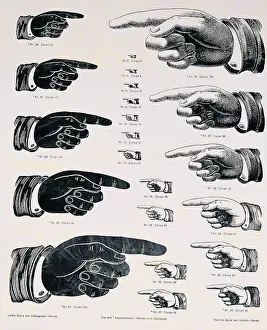 industry, printing, sample sheet, Bauer Type