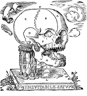 1537: Inevitabile Fatum, 1537