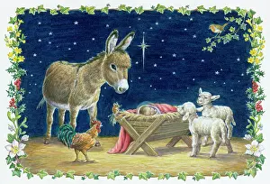 Jasmine: Infant Jesus in Manger with donkey and lambs
