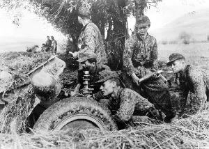 Transylvania: Infantry gun of the Waffen-SS, 1944