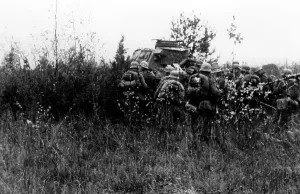 Infantryman: Infantry at Lake Ilmen, 1942