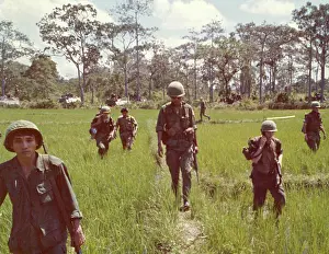 Paddy: INFANTRY IN RICE PADDY