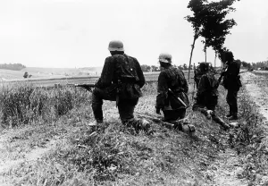 Cornfield: Infantry of the Waffen SS on the Eastern Front, 1941